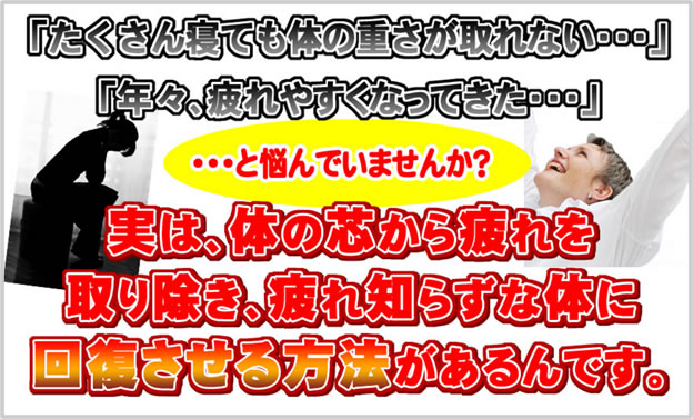 慢性疲労体質改善プログラムの画像